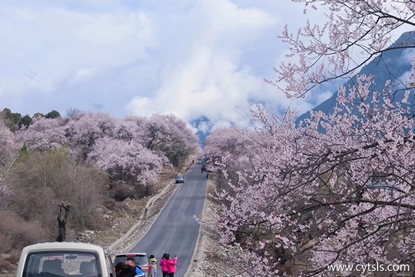 幾月份去西藏旅游風景最美