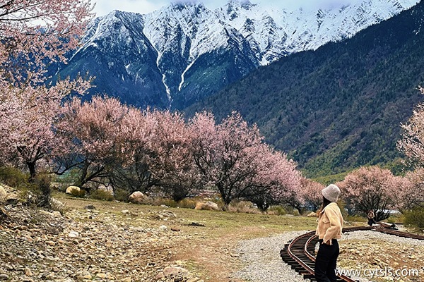 北京到西藏報(bào)團(tuán)多少錢(qián)